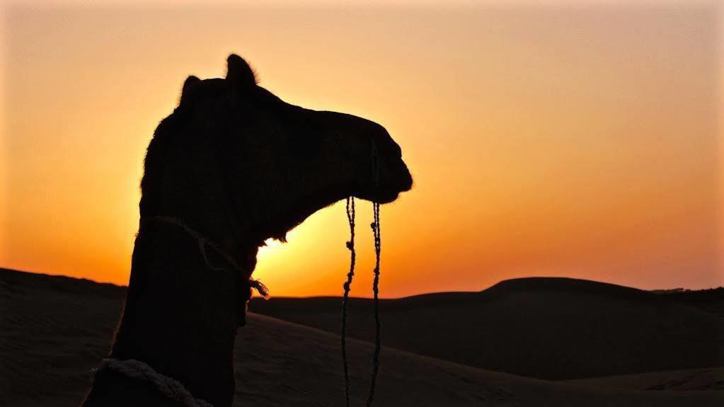 Damodra Desert Camp Jaisalmer Bagian luar foto